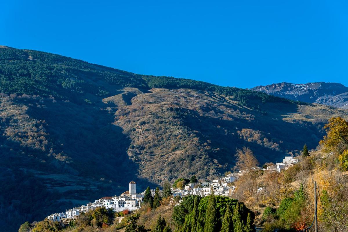 Apartamento Casa Manuela En Capileira - Alpujarra Extérieur photo